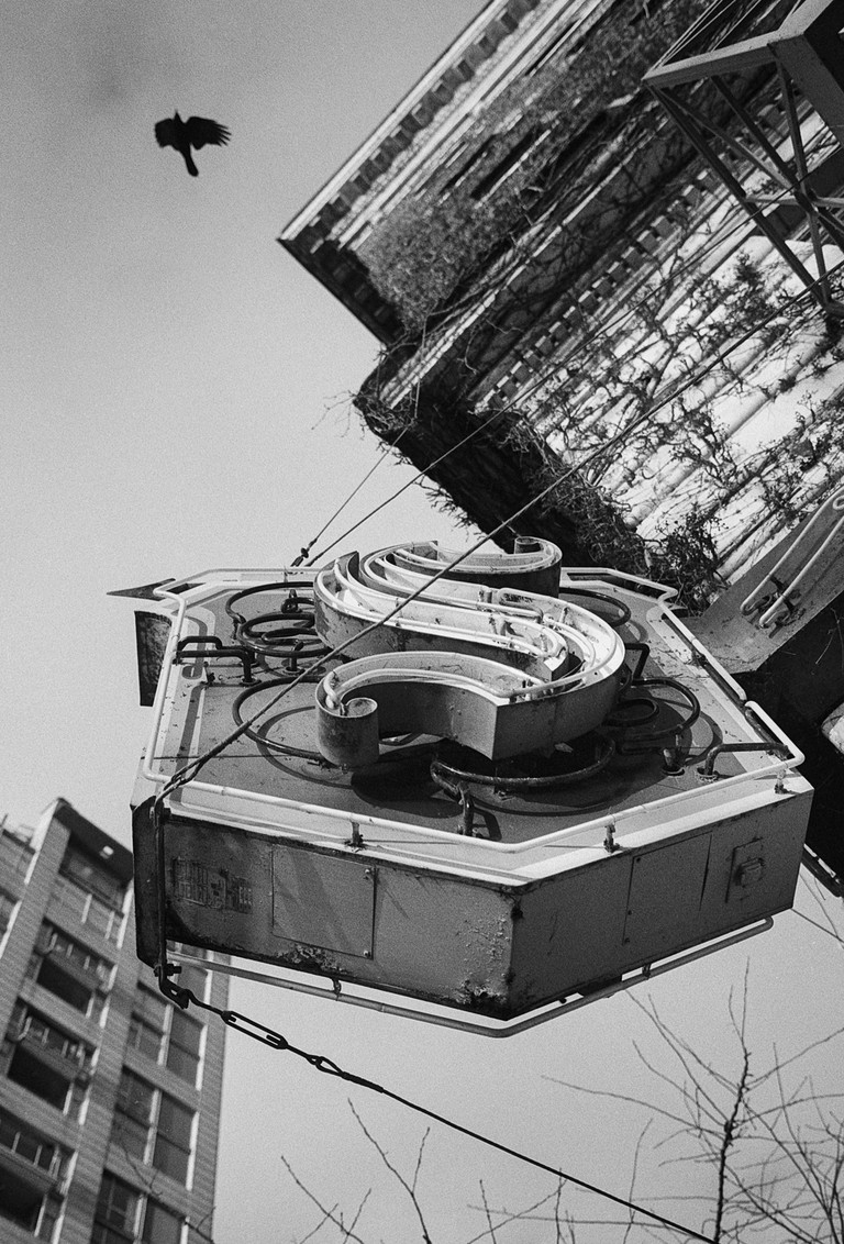 A view up at a single letter S sign hanging from a vine covered building. A crow flies through the frame.