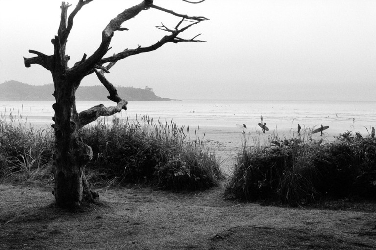 Surfers converge on a weathered beach.