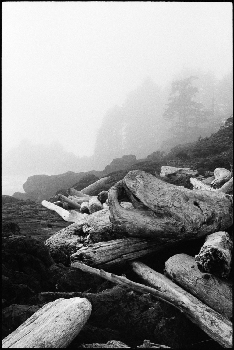 Misty rugged coastline with large piles of driftwood in the forteground.