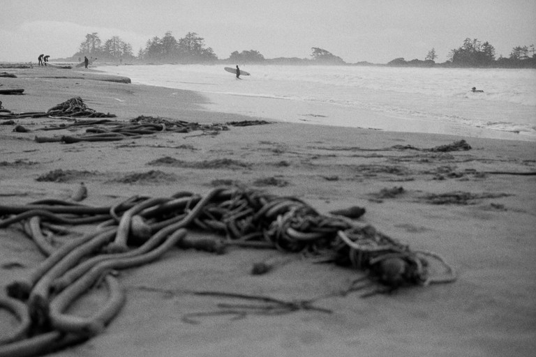 A surfer emerges from an expansive kelp covered beach.